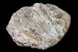 Polished Baker Ranch Thunderegg - New Mexico #145640-2